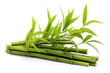 One bamboo internode plant white background asparagus.