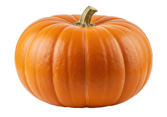 Obraz premium Pumpkin isolated on white background, no depth of field, sharp.