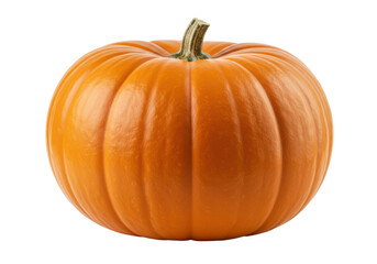 Pumpkin isolated on white background, no depth of field, sharp.