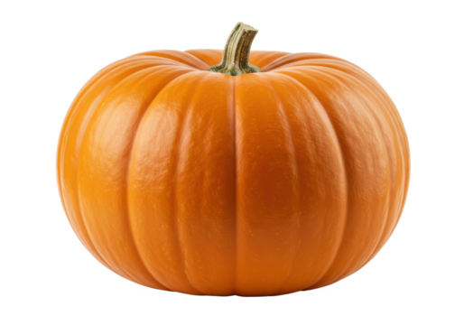 Pumpkin isolated on white background, no depth of field, sharp.