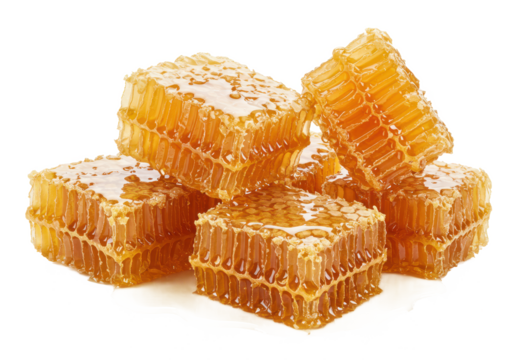 Sweet honey combs with honey isolated on white background, no depth of field, sharp.