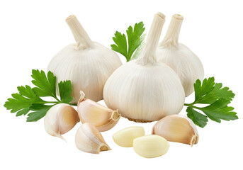 Fresh garlic bulbs and peeled cloves with green parsley leaves isolated on white background