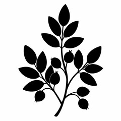 Black Barberry Silhouette - Crisp Vector Illustration