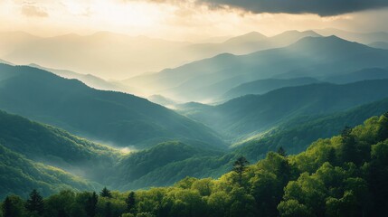 Fototapeta premium Aerial view of the lush green hills covered in green trees and dense forests 