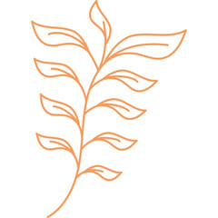 Hand Drawn Aesthetic Leaves