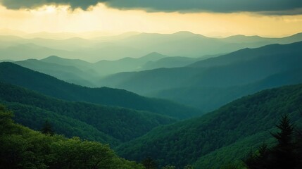 Obraz premium Aerial view of the lush green hills covered in green trees and dense forests 