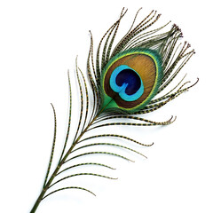 Ethereal Elegance: A Majestic Peacock Feather Unveiled on White or PNG Transparent Background. new image 