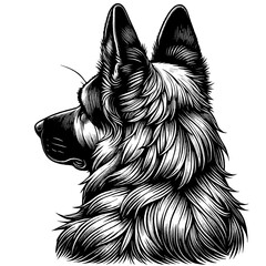 Hand drawn German Shepherd portrait, vector sketch isolated on white background, SVG vector	