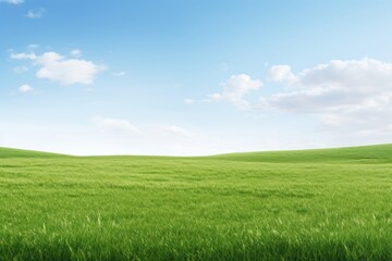 Obraz premium Vast green field under sky