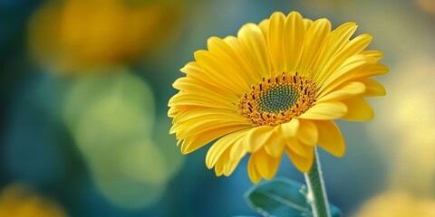 Obraz premium Close up of a vibrant yellow flower serves as a stunning background for presentations, highlighting the beauty of yellow flowers while adding an eye catching element to any design.