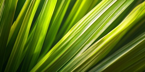 Close up macro image of fresh lemongrass, showcasing the vibrant details and textures of fresh lemongrass in a food background, emphasizing the freshness and appeal of fresh lemongrass.