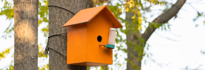 Sparrow's wooden nest on a tree