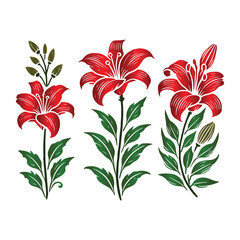 Lily flowers design vector set on a  with white background