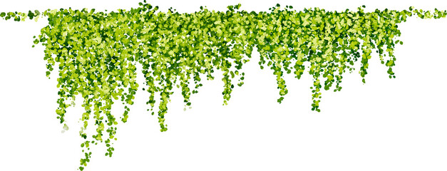 Hanging plants in watercolor style with green leaves