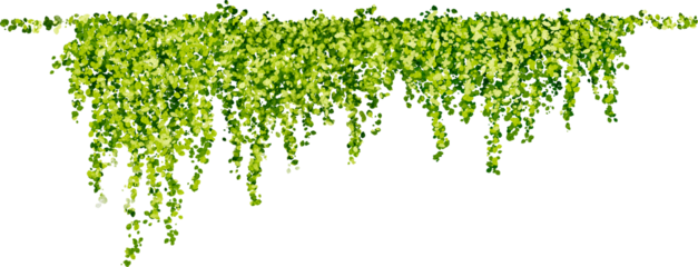 Hanging plants in watercolor style with green leaves