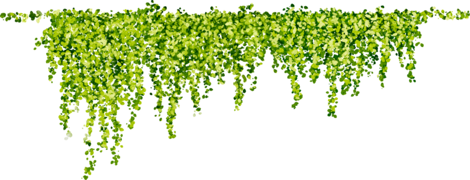 Hanging plants in watercolor style with green leaves