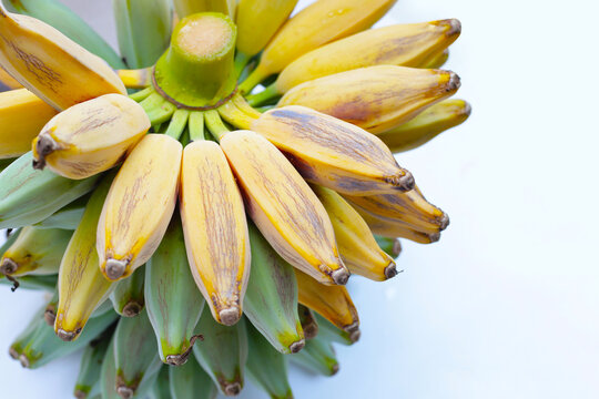 Fresh banana fruit, Silver bluggoe or Musa ABB group banana