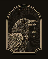 Illustration of gothic raven biting the key on black background