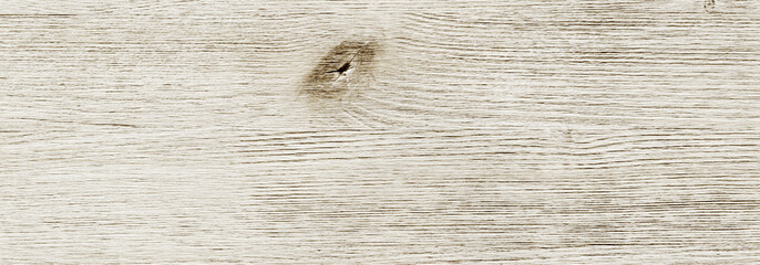 High resolution shabby white wood grain texture