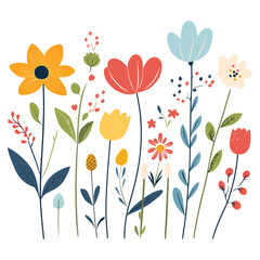 Colorful flowers illustration graphics aster vector