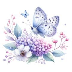  Beautiful butterfly picture