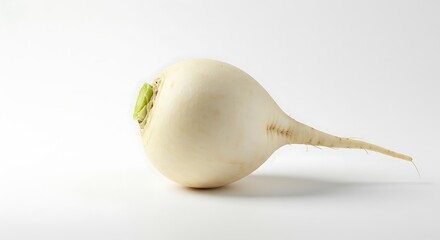 Fresh White Radish Root Vegetable Organic Produce Healthy Food