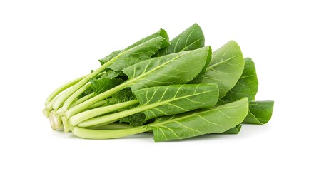 Fresh Green Chard Bunch Healthy Leafy Vegetable