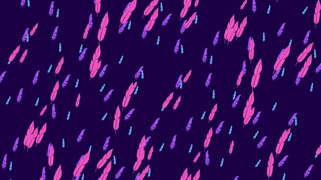 A whimsical pattern of pink, purple, and blue feathers scattered on a dark background. The vibrant colors create a soft and dreamy aesthetic