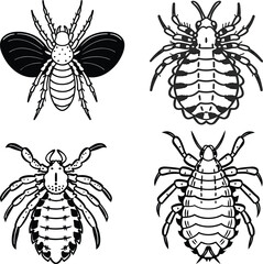 Louse bundle line art and illustrator eps