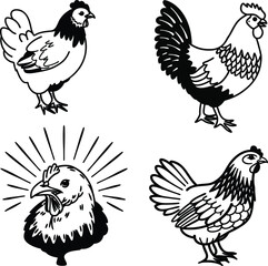 Chicken bird bundle line art and illustrator eps