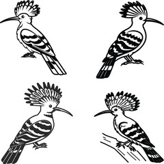Hoopoe bird bundle line art and illustrator eps