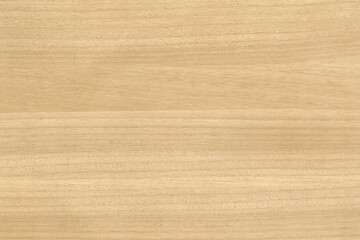 High resolution brown wood grain texture