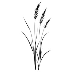 Wild flower Bugle illustration minimalist drawing vector