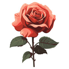 Fototapeta premium Red rose flower illustration art vector
