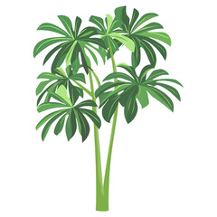 Tropical green tree illustration leaves plant vector