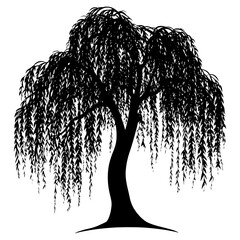 Weeping willow tree illustration silhouette black vector