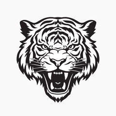 Obraz premium Tiger animal mammal white.