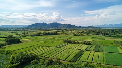 Aerial view of lush green agricultural fields, mountains in background, rural landscape, farming.