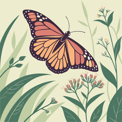 butterfly on a flower