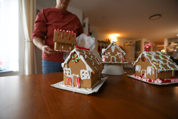Woman throws away gingerbread houses in modest apartment