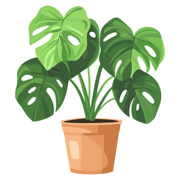 green monstera plant in terracotta pot clip art preview