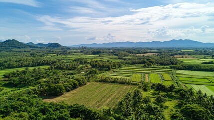 Fototapeta premium Aerial view of lush green rice paddies and farmland in a valley.