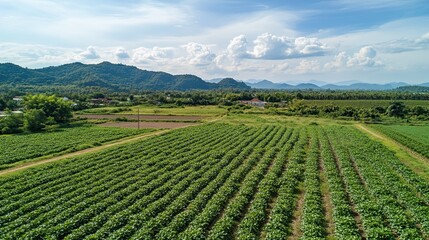 Aerial view of agricultural fields, mountains, rural village. Farming landscape. Stock photo.