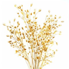 Fototapeta premium Bouquet of dried wildflowers is standing in front of a white background, creating a delicate and natural aesthetic