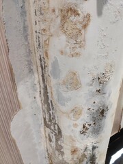 Damaged building pillar and wall with mold growth caused by humidity in a tropical country, peeling wallpaper and visible deterioration showcasing neglect and environmental impact