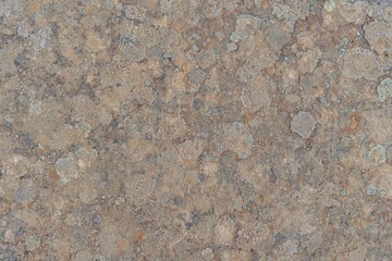 Detailed close-up of a natural stone texture with mixed beige and gray tones in Iceland
