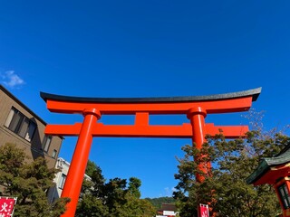 京都伏見稲荷大社で青空に映える朱色の鳥居
