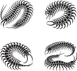 Silhouette of Various Centipede and Millipede Designs - Vector Illustration