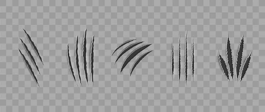 Cat scratch. Realistic set of animal claw marks isolated on transparent background. Black marks of cats tiger lion or wild animals. Flat vector illustration.