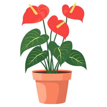 red anthurium plant in terracotta pot clip art preview